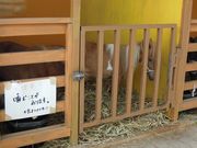 しちのすけさんのふれあい動物園(帯広競馬場内)の投稿写真1