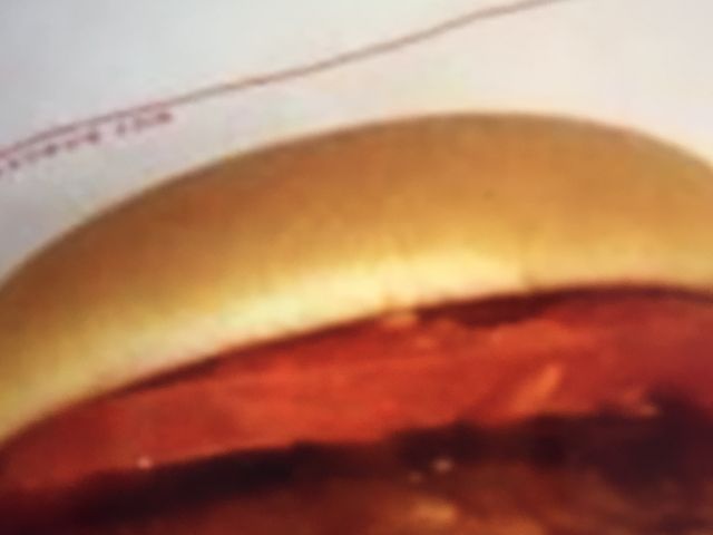 モスバーガー_モスバーガーJR野田店