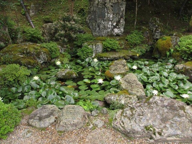ポン助さんの竹林院群芳園(庭園)の投稿写真6