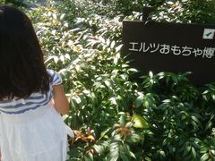 ひろまなちゃんさんのエルツおもちゃ博物館・軽井沢(ムーゼの森)への投稿写真1