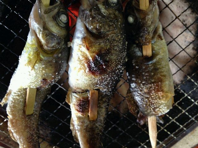 あまご釣り_県立有馬富士公園