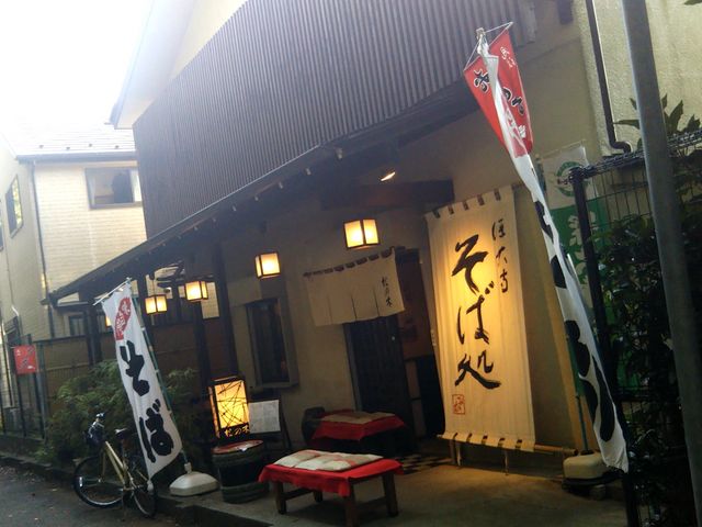 松の木_松の木