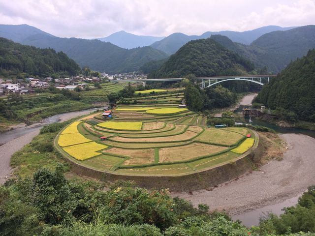 日本の棚田100選_あらぎ島