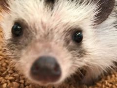 りゅうさんのHARRY原宿駅前店への投稿写真1