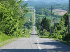 たかちゃんさんのジェットコースターの路への投稿写真1