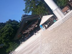 出雲大社の写真1