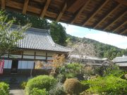 サビ猫さんの弓削寺の投稿写真2