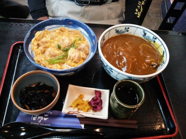 親子丼とカレーうどん_京風さぬきのおうどん はなこ