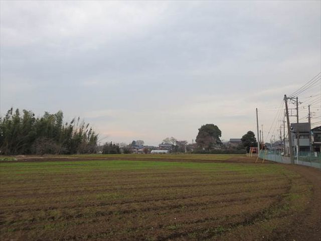 はなちゃんさんの安倍城跡の投稿写真1