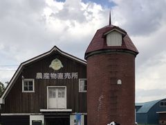八紘学園のポプラ並木の写真1