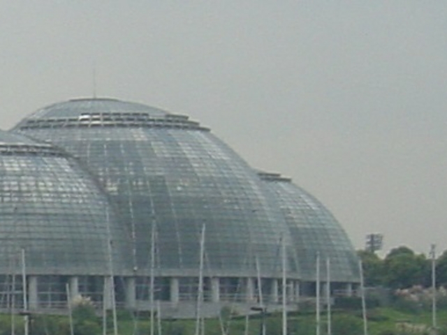 植物園_夢の島公園