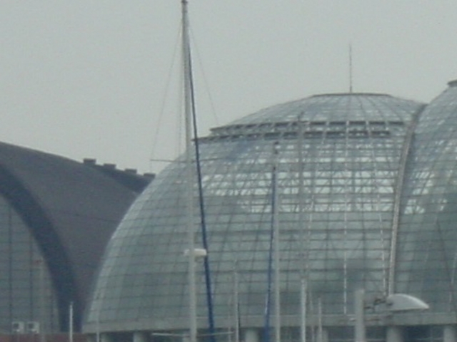 植物園_夢の島熱帯植物館喫茶室