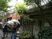 Rip-van-Winkleさんのブラームスの小径の投稿写真1