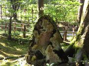 olive09さんの金城霊澤の投稿写真1