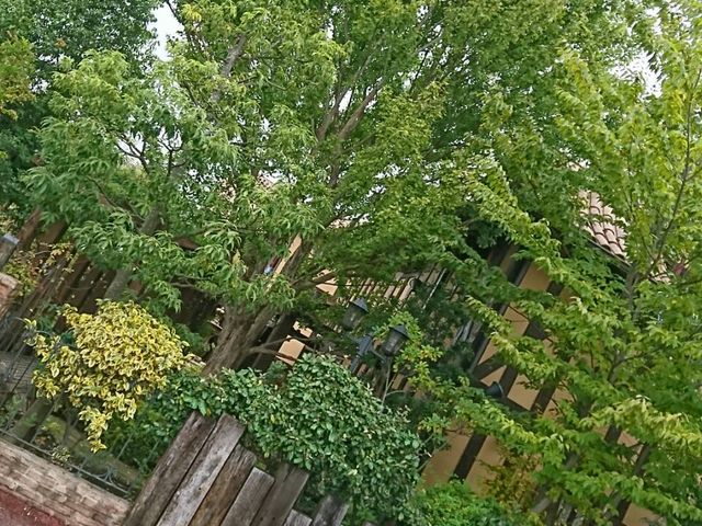 サンタムール_お菓子の家サンタムール