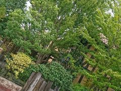 お菓子の家サンタムールの写真1