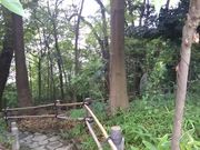 世田谷区等々力の住人さんの江古田の森公園の投稿写真1