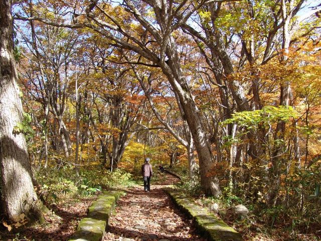 参道1_小野川不動滝