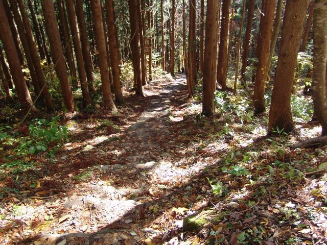 参道2_小野川不動滝