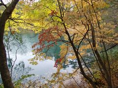 okeiさんの五色沼自然探勝路への投稿写真1