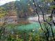 okeiさんの五色沼自然探勝路への投稿写真4