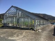 ゆうさんのさとう温泉メロンの投稿写真1