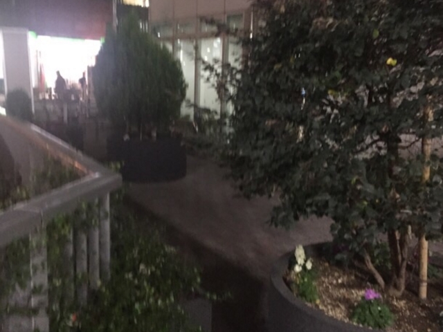神田川に面しています。_高田馬場駅前公園