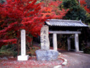 すえっこさんの興聖寺の紅葉の投稿写真1