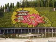 すえっこさんの宇治市植物公園の投稿写真1