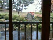 kazumiさんの雲嶺庵の投稿写真1