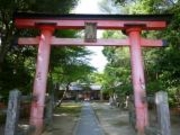 すえっこさんの春日神社の投稿写真1