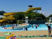 shigeさんの尼崎スポーツの森の投稿写真1