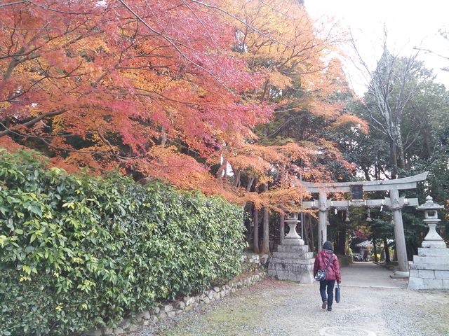 鷺森神社
