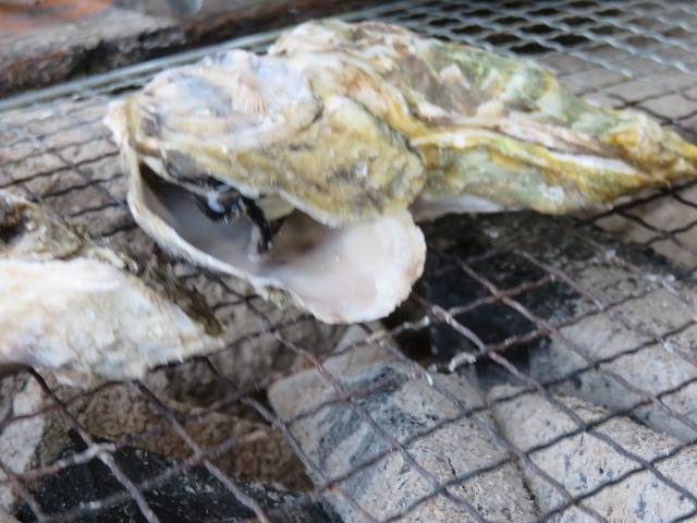 焼きカキ_道の駅 太良 たらふく館