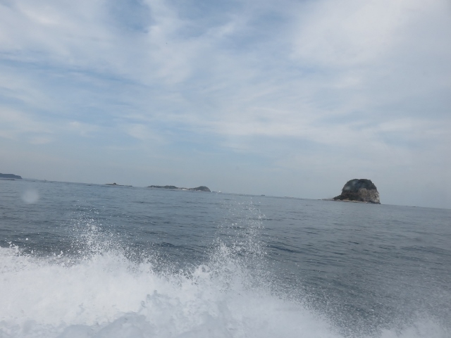 景色_イカ丸