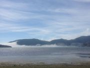たねさんの菖蒲ケ浜 キャンプ場の投稿写真1