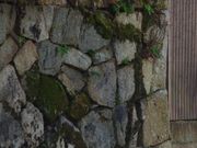 アリスさんの旧東海道の投稿写真1