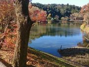 しろたんさんの正伝池の投稿写真1