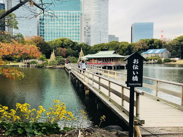 【浜離宮庭園〜お伝い橋】_お伝い橋(浜離宮恩賜庭園)