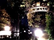 あやなさんのQ.E.D.クラブの投稿写真1