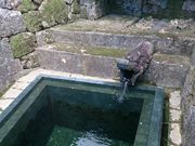 kijimunarさんの龍樋の投稿写真1