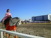 名無しさんの川崎競馬場の投稿写真1