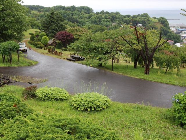 整備された公園_手宮公園