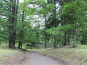 たかちゃんさんの野付牛公園の投稿写真2