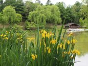 たかちゃんさんの野付牛公園の投稿写真3