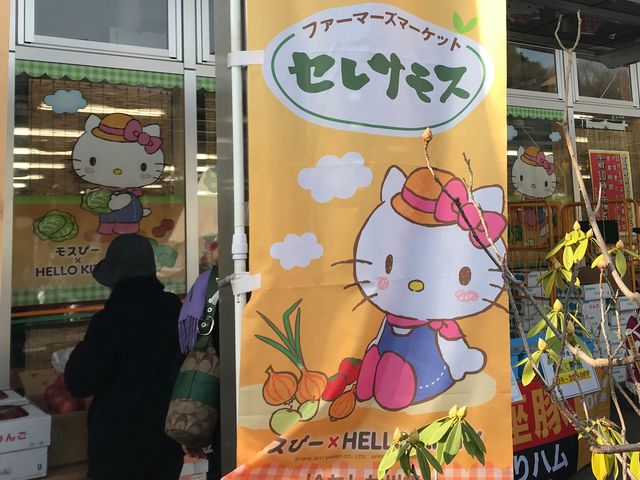 【セレサモス】キティちゃんとコラボしたキャラクター_セレサモス