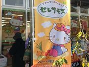 めのうさんのセレサモスの投稿写真2