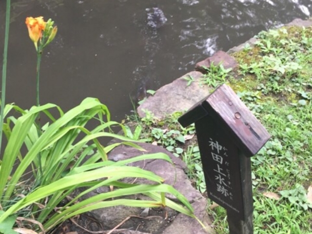 まだ水路がありました。_神田上水跡(小石川後楽園)