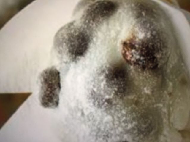 美味しい(^o^)_出町ふたば