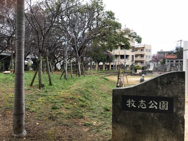 国際通り沿いの公園_牧志公園